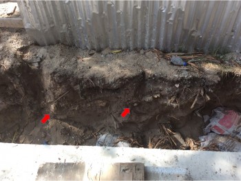 Figure 3. Buried archaeological horizon in section around septic tank Pangani February 2018